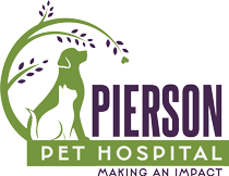 Veterinarian in Davison | Vet Near You | Pierson Pet Hospital
